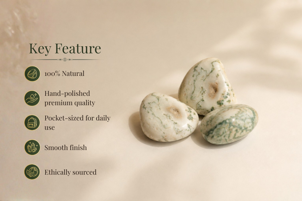 Tree Agate(1Pcs)