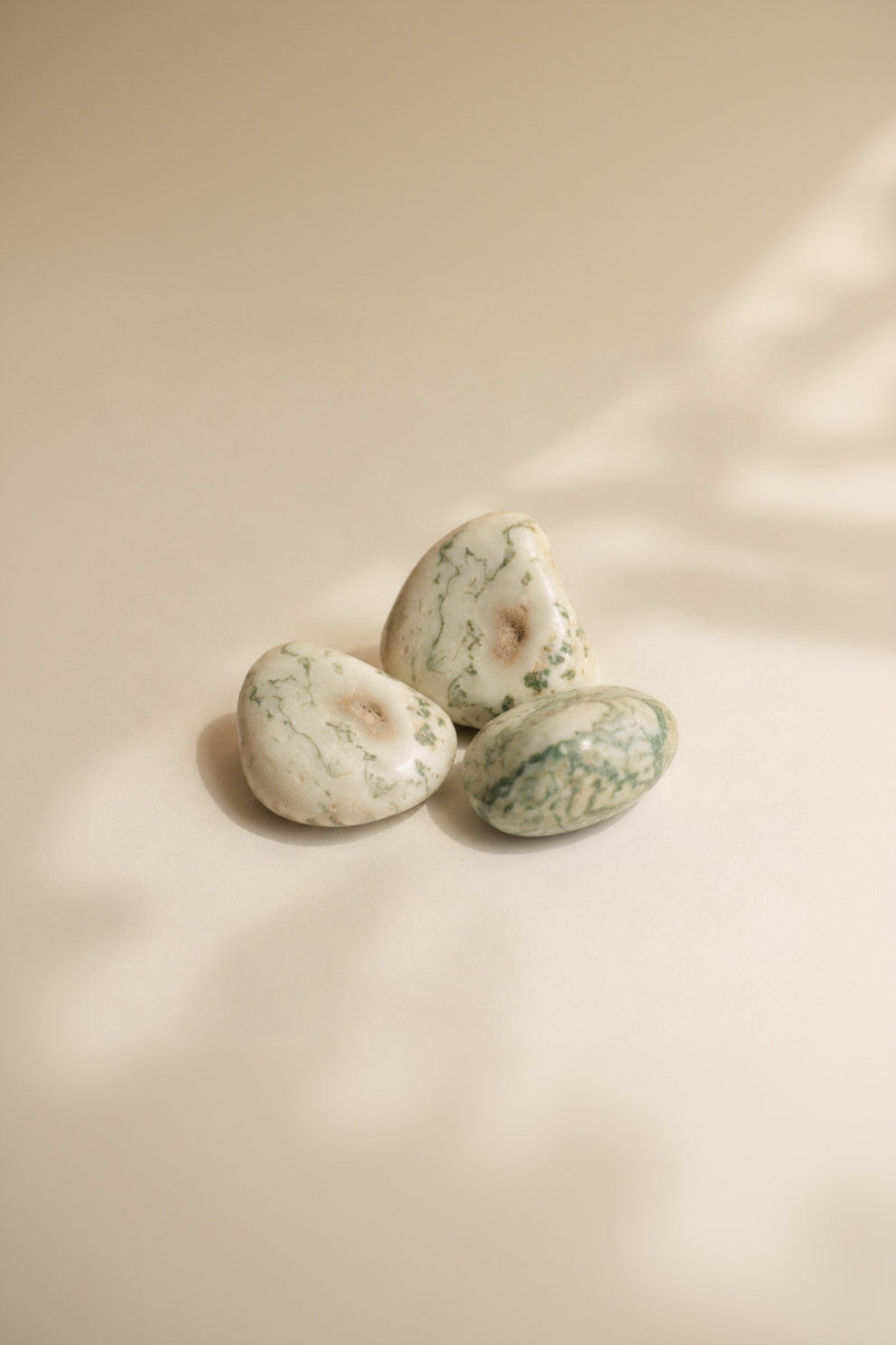 Tree Agate(1Pcs)